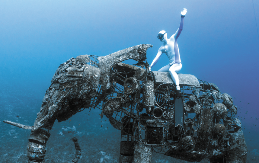 Четыре-пять месяцев в году Алексей живёт в Москве, а остальное время проводит на выездных соревнованиях или на обучении. Фото Предоставлено Алексеем Молчановым