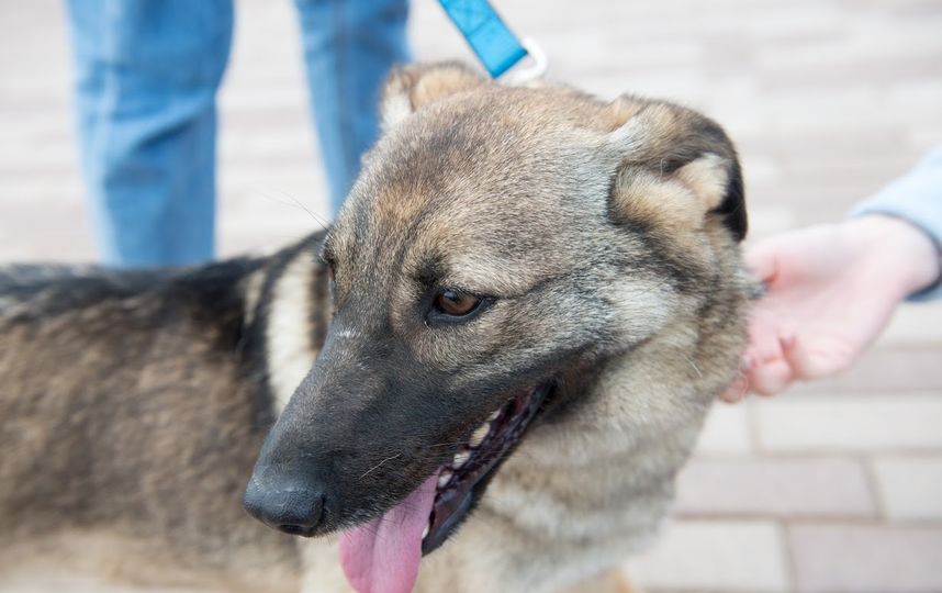 Юна-фест. Фото Предоставлено организаторами