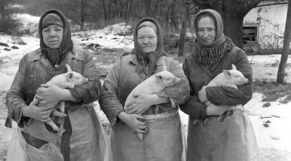 Одна из работ Юрия Роста под названием