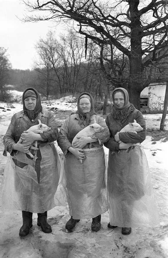 Одна из работ Юрия Роста под названием «Свинарки». Фото Юрий Рост, Предоставлено организаторами