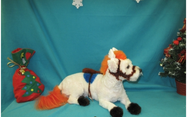 Варианты окрашивания. Фото Салон "Панда"