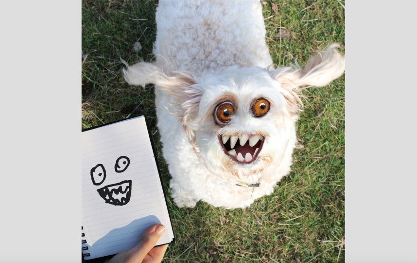 И всё-таки зверушки, по словам автора, набирают больше "лайков". Фото Instagram: @thingsihavedrawn