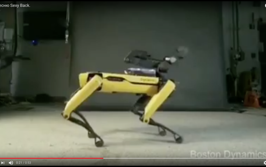 Видео с танцующей собакой-роботом напугало Сеть своей развратностью