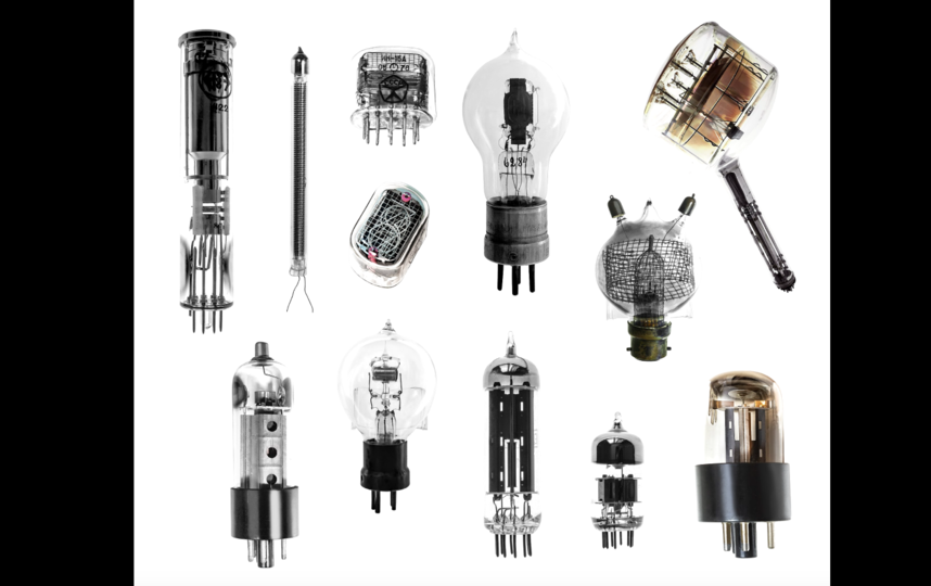 Автор AlixSaz. Фото предоставлено пресс-службой канала "Наука"