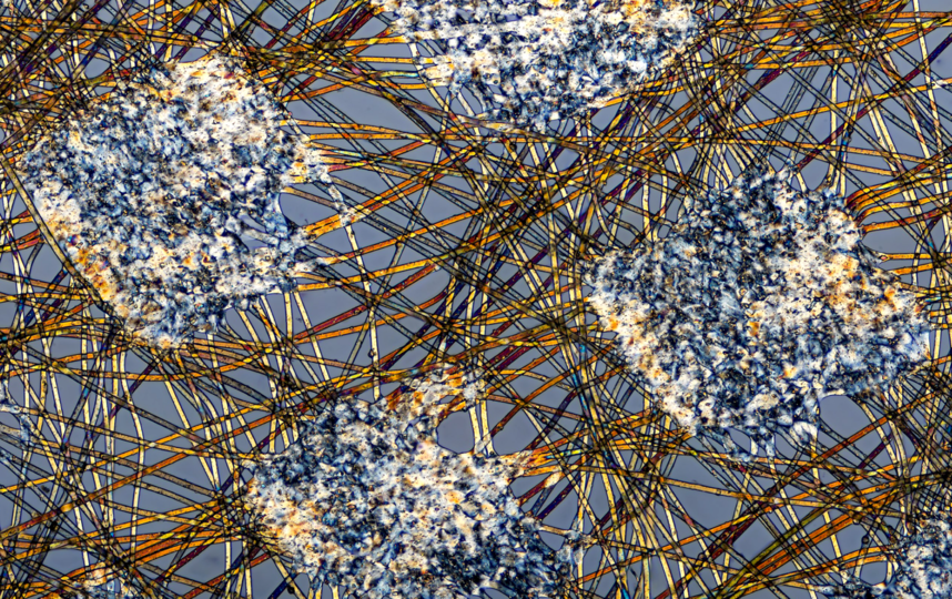 Автор Alexander Klepnev. Фото предоставлено пресс-службой канала "Наука"