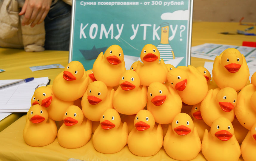 Как прошел семейный фестиваль Metro Family. Фото Василий Кузьмичёнок