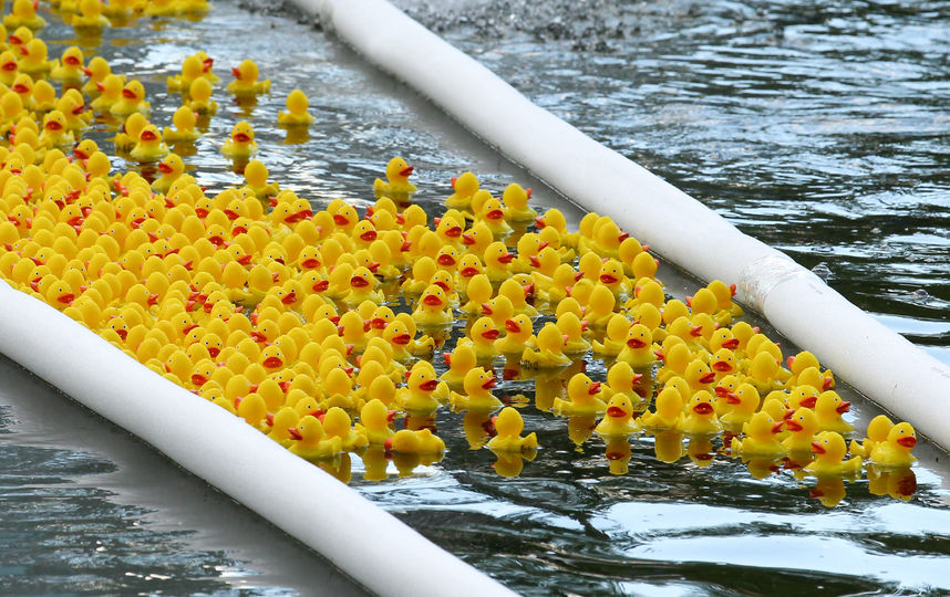 Как прошел семейный фестиваль Metro Family. Фото Василий Кузьмичёнок