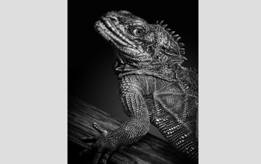 фотография сделана год назад. Фото Михаил Киракосян