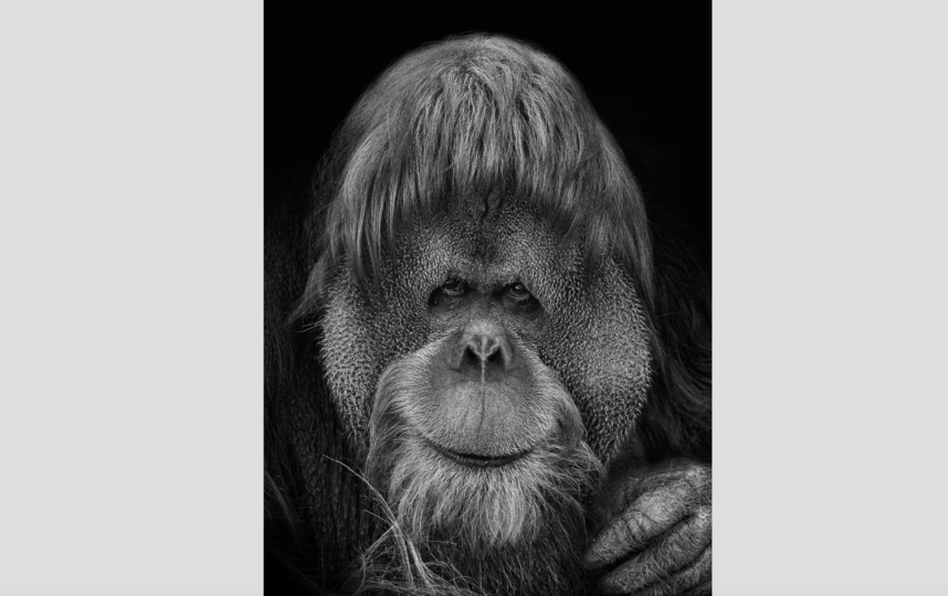 фотография сделана год назад. Фото Михаил Киракосян