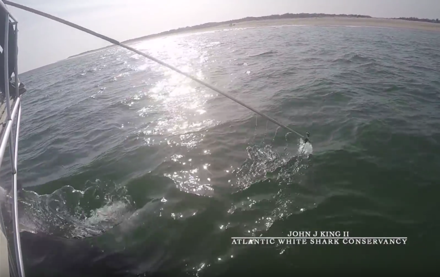 Кадр из видеоролика. Фото скриншот: youtube.com/watch?time_continue=19&v=L3ncQ1S4jxs&feature=emb_title