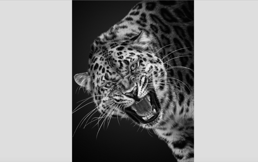 фотография сделана год назад. Фото Михаил Киракосян