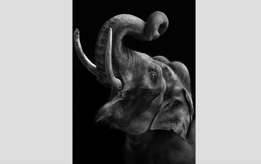 фотография сделана год назад. Фото Михаил Киракосян