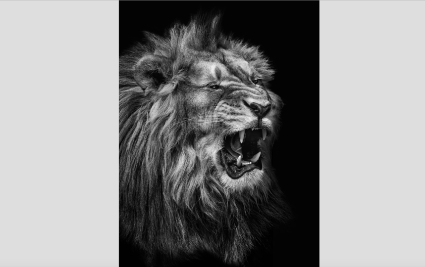 фотография сделана год назад. Фото Михаил Киракосян