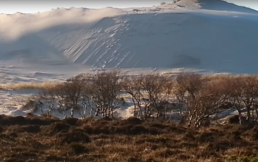 Снег в пустыне Сахара. Фото Скриншот Youtube