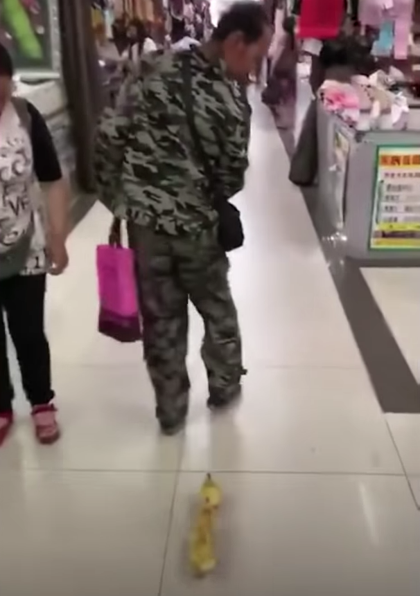 В Китае мужчина привел утят в торговый центр: Видео