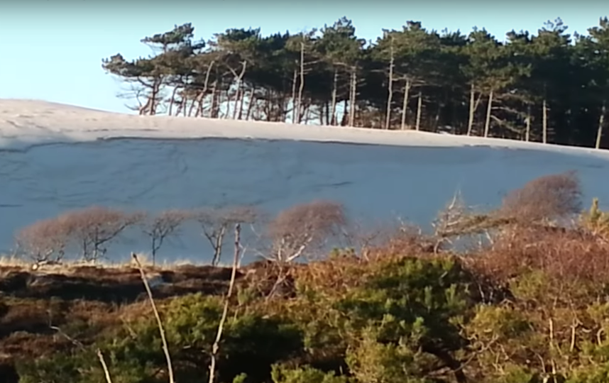 Снег в пустыне Сахара. Фото Скриншот Youtube