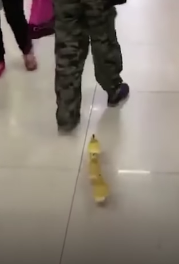 Скриншот из видео. Фото CGTN