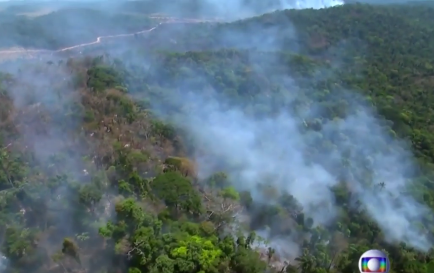 Лесные пожары в Бразилии достигли рекордных масштабов