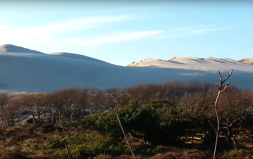 Снег в пустыне Сахара. Фото Скриншот Youtube