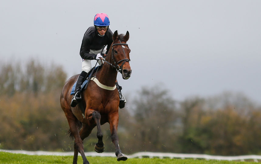 Верховая езда. Фото Getty