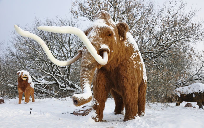 ICE Парк. Фото предоставлено организаторами.