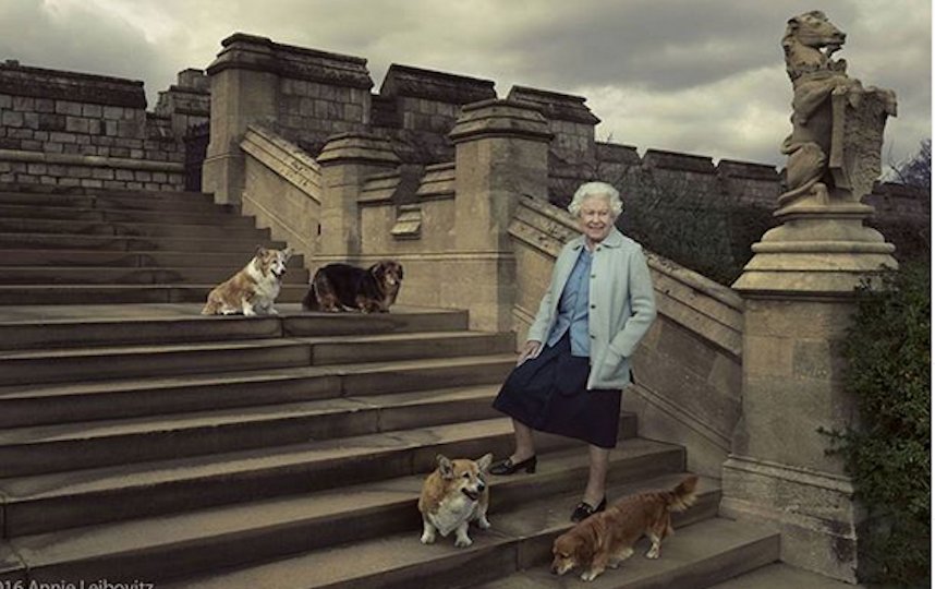 Королева Елизавета II и её корги. Фото Instagram @theroyalfamily