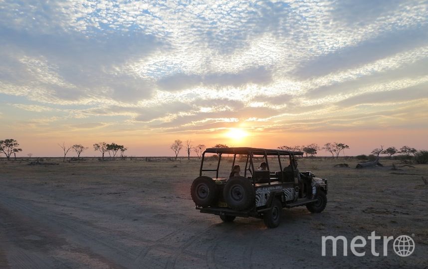 Съёмки "Дикого королевства". Фото Дарья Буянова, "Metro"