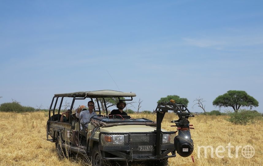 Съёмки "Дикого королевства". Фото Дарья Буянова, "Metro"