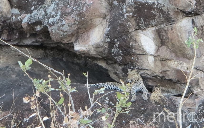 Съёмки "Дикого королевства". Фото Дарья Буянова, "Metro"