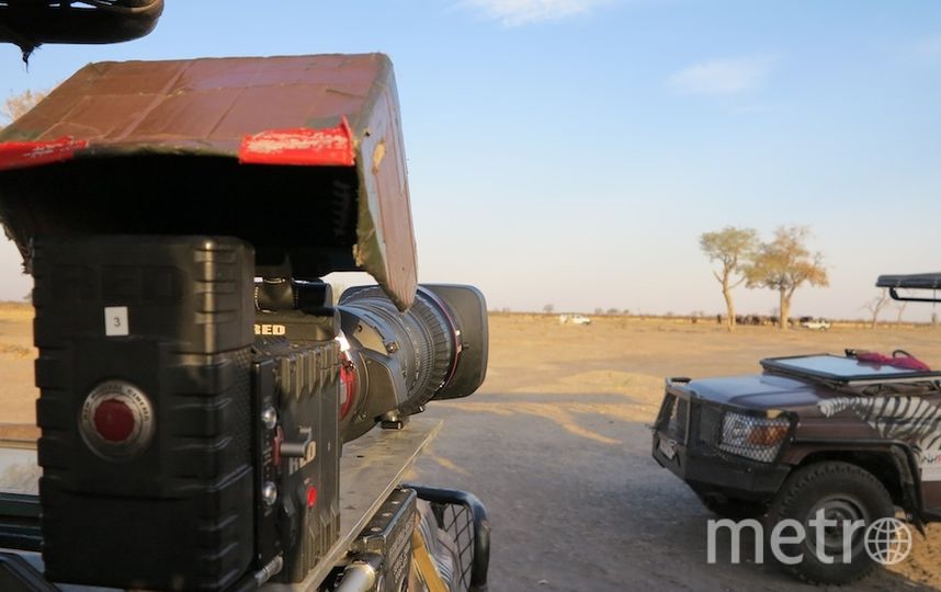 Съёмки "Дикого королевства". Фото Дарья Буянова, "Metro"