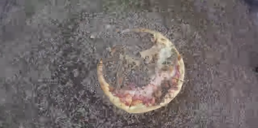 С пиццей личинки справились за два часа. Фото Скриншот youtube.com/watch?time_continue=1&v=3Ip1N8z2XLU