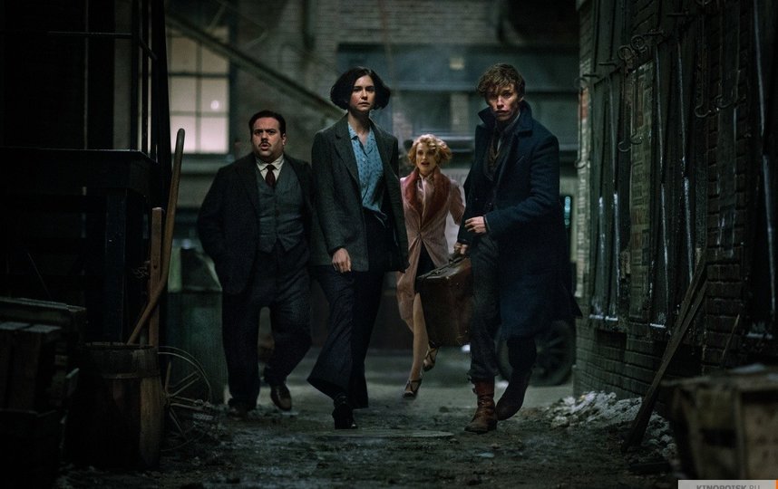 Кадр из фильма ""Фантастические твари и где они обитают". Фото "Каро-Премьер", kinopoisk.ru