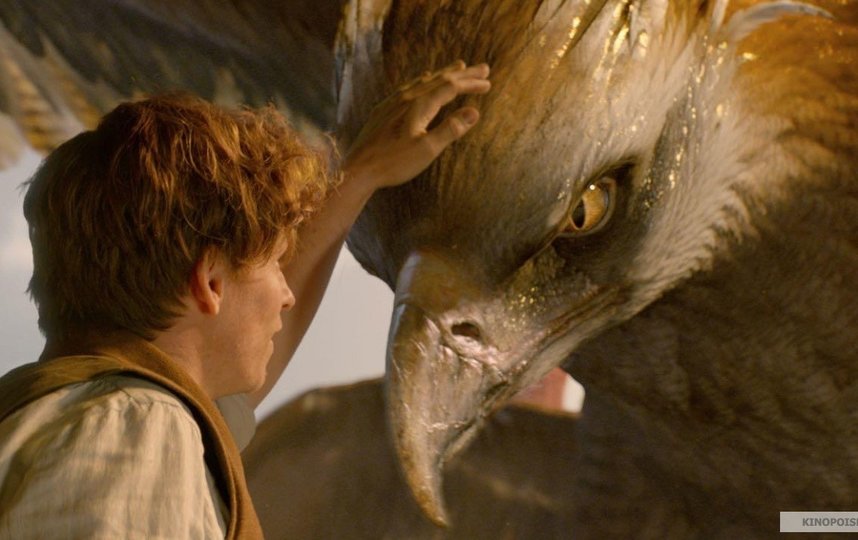 Кадр из фильма ""Фантастические твари и где они обитают". Фото "Каро-Премьер", kinopoisk.ru