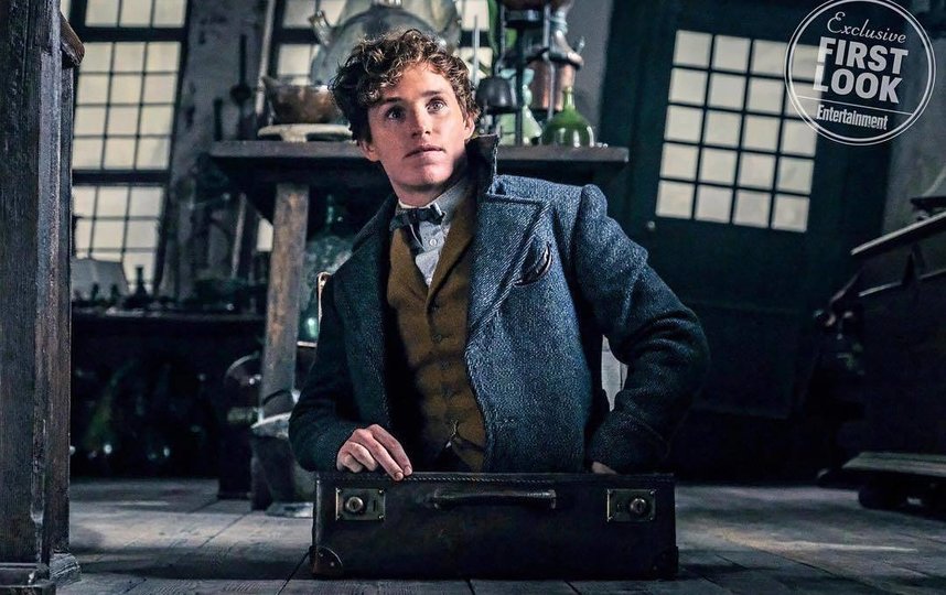 Кадр из фильма ""Фантастические твари и где они обитают". Фото "Каро-Премьер", kinopoisk.ru