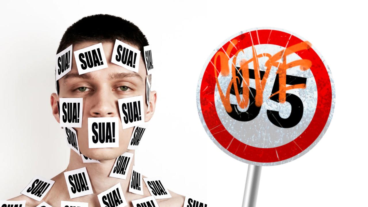 а когда мы не делали SUA?, медиа рецензия