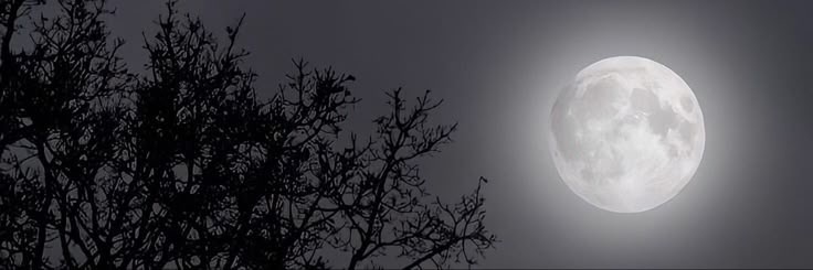 Cover photo