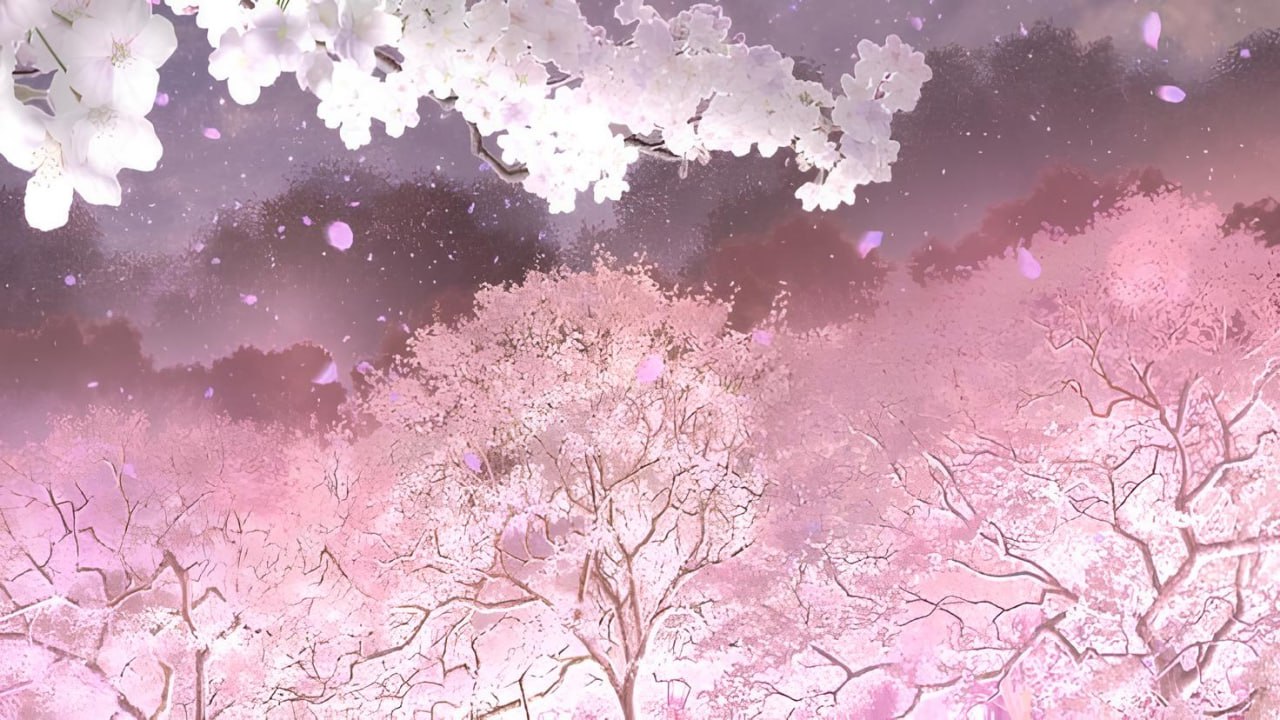 Cover photo