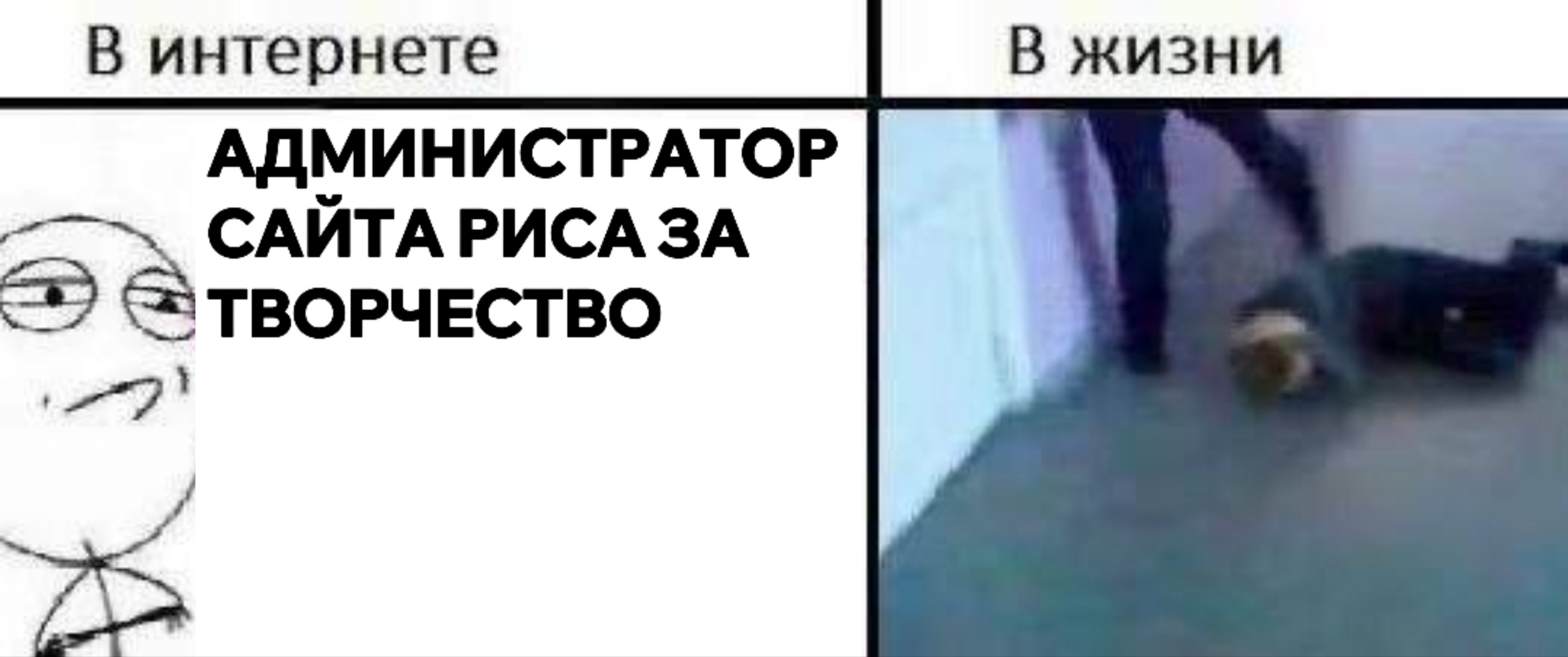 Cover photo