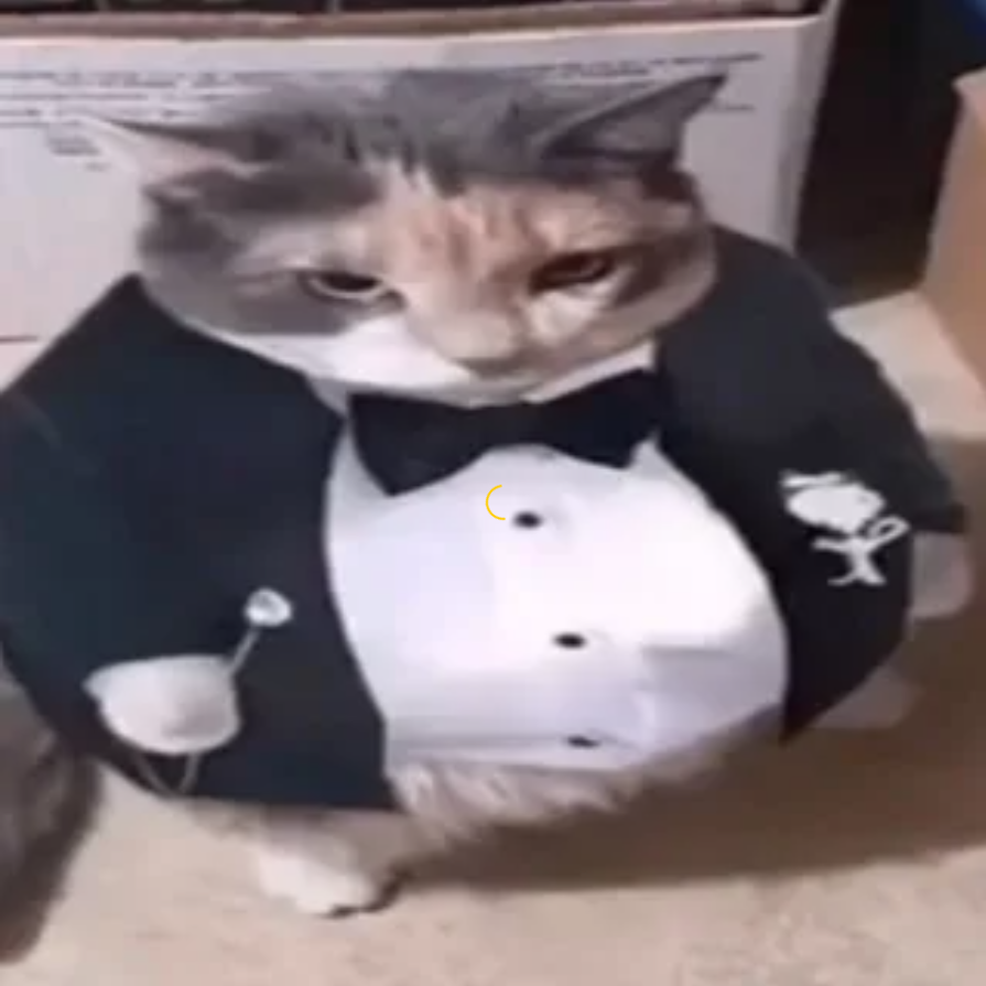 sosalsosu