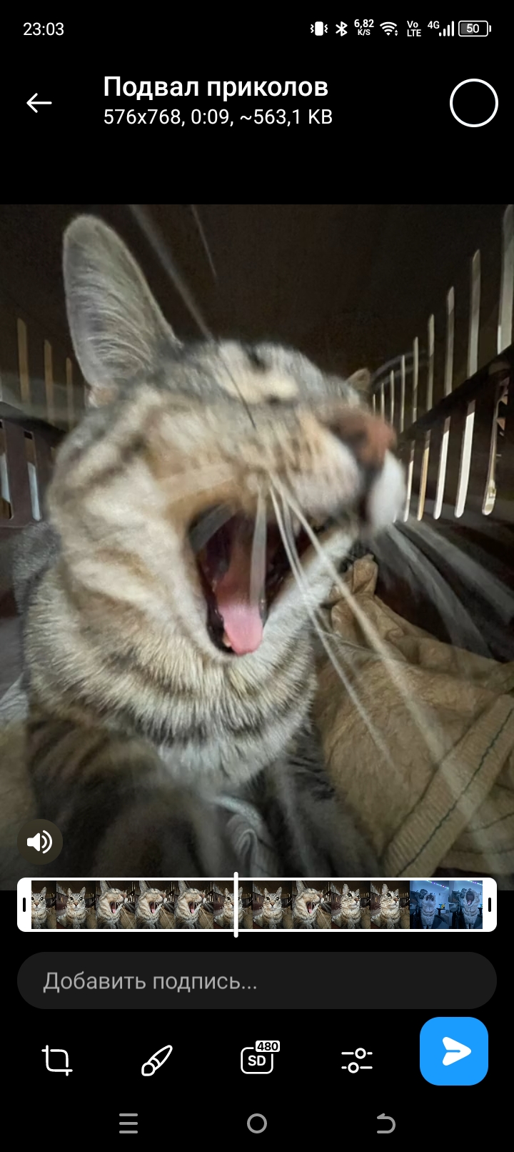 мохнатый творог