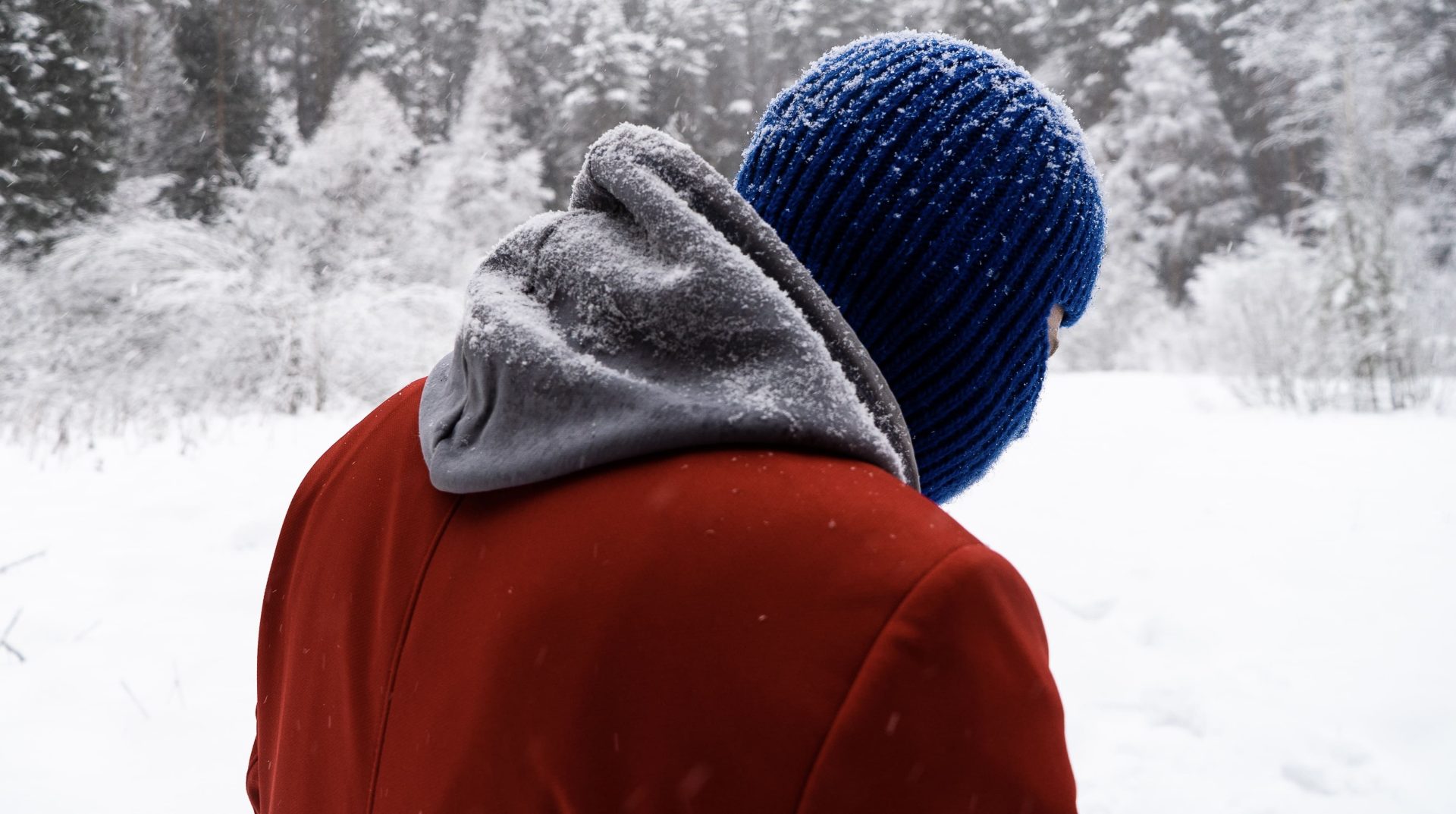 Cover photo