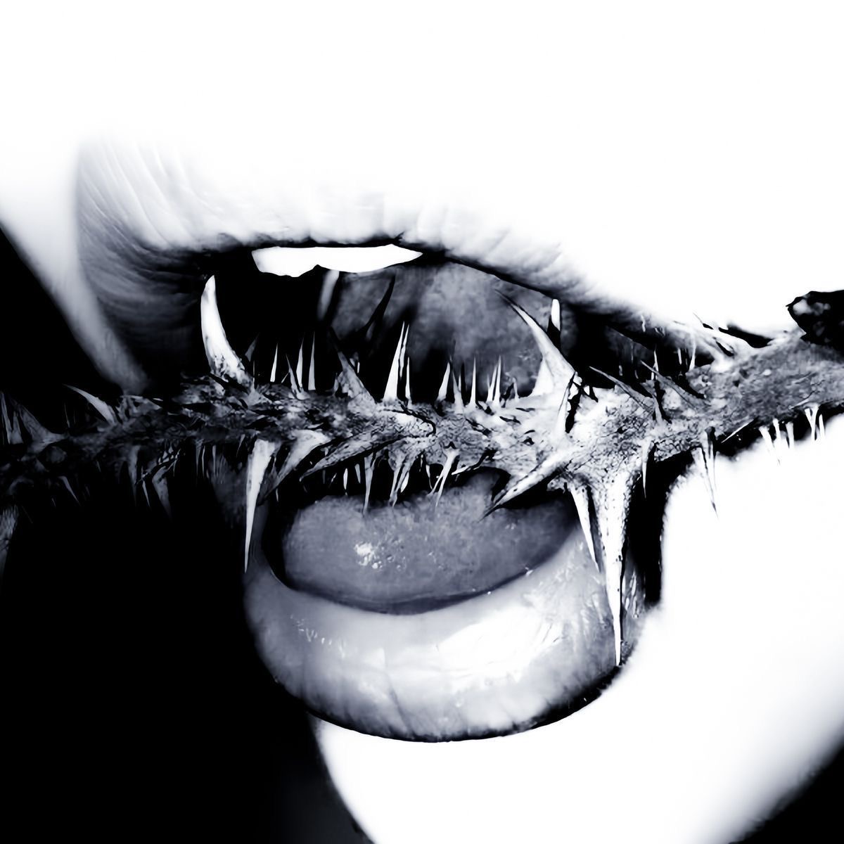 Cover photo
