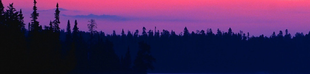 Cover photo