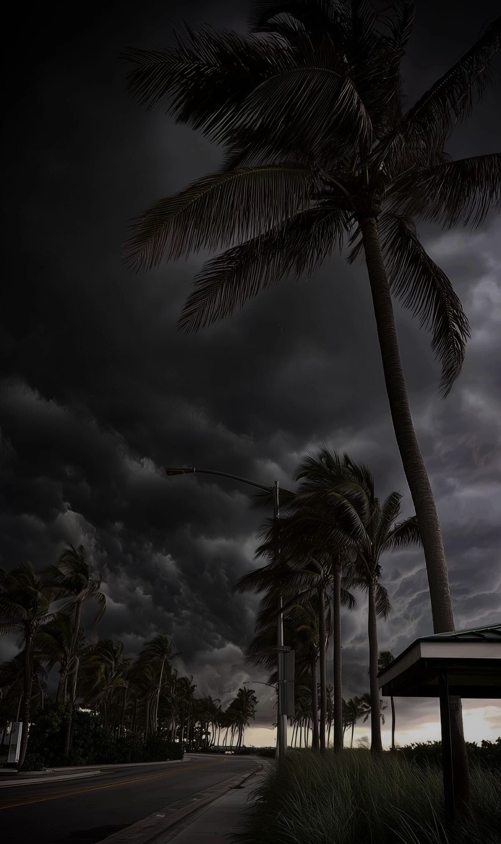 Cover photo