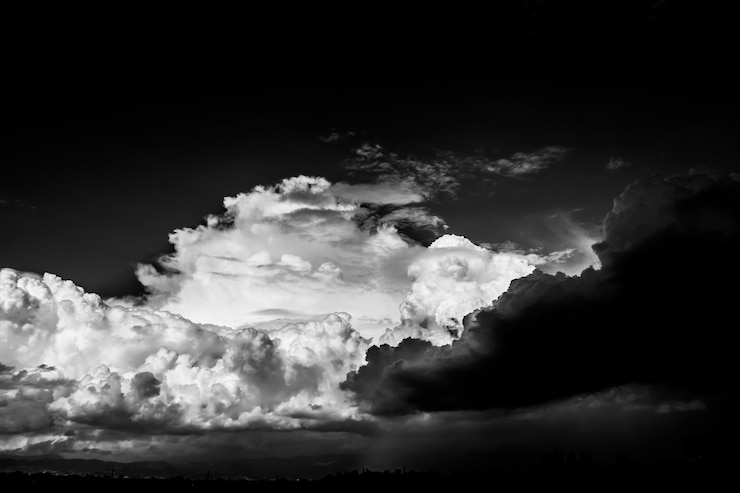 Cover photo
