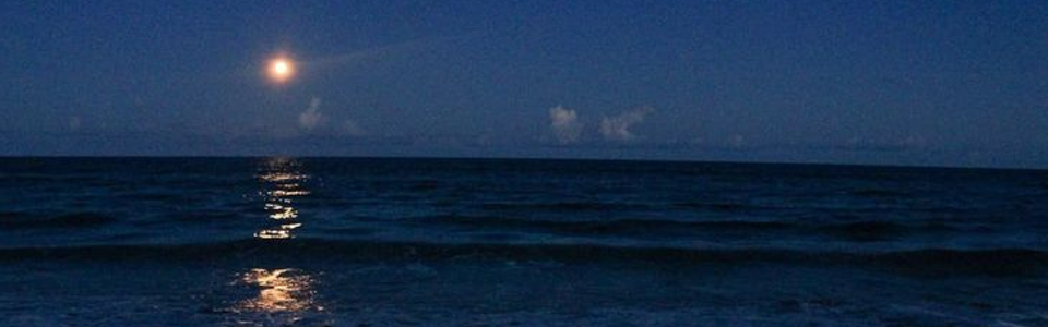 Cover photo