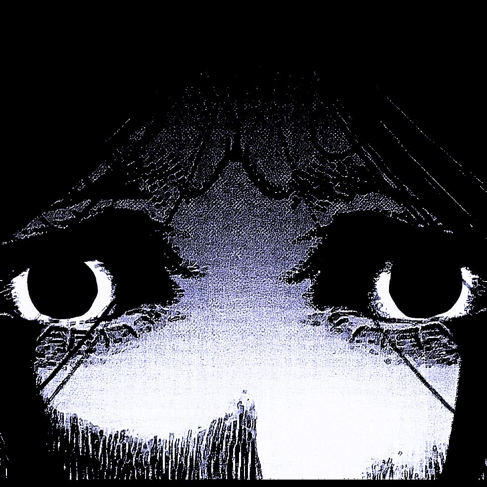 Cover photo