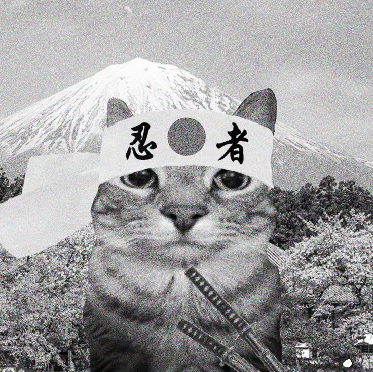 x1ng666
