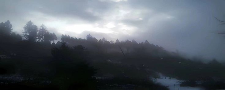 Cover photo