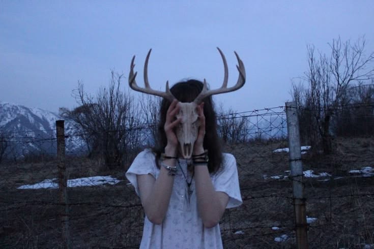 punkrxckbxy, аватар пользователя